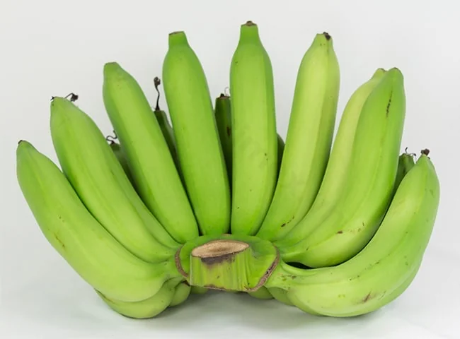 Cavendish Banana