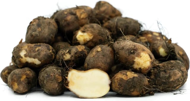 Chinese Potato (Koorka)