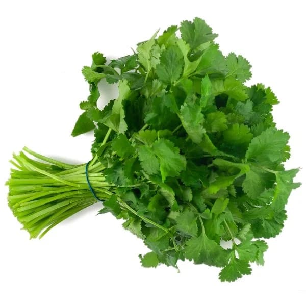 Coriander Leaves