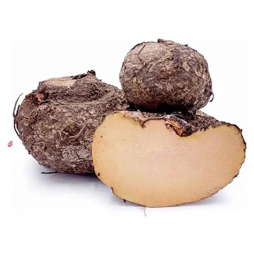 Elephant Yam (Suran)
