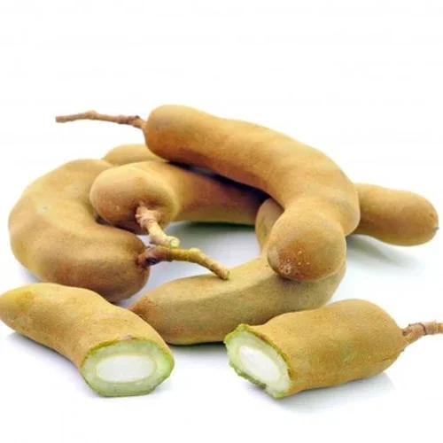 Fresh Tamarind
