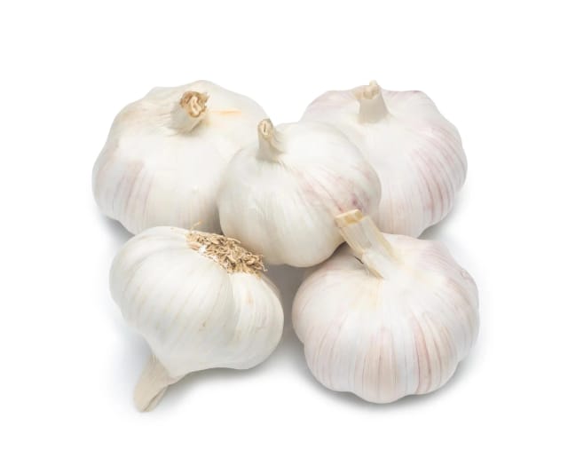 Garlic