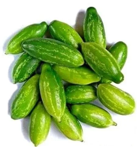 Ivy Gourd (Tindly)