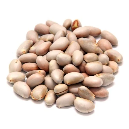Jack Seed