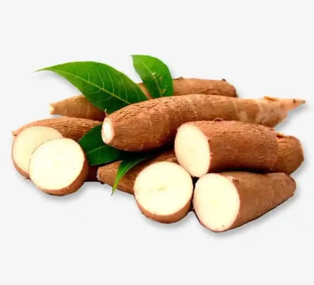 Tapioca